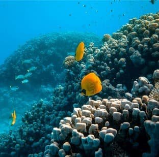 category_1_4